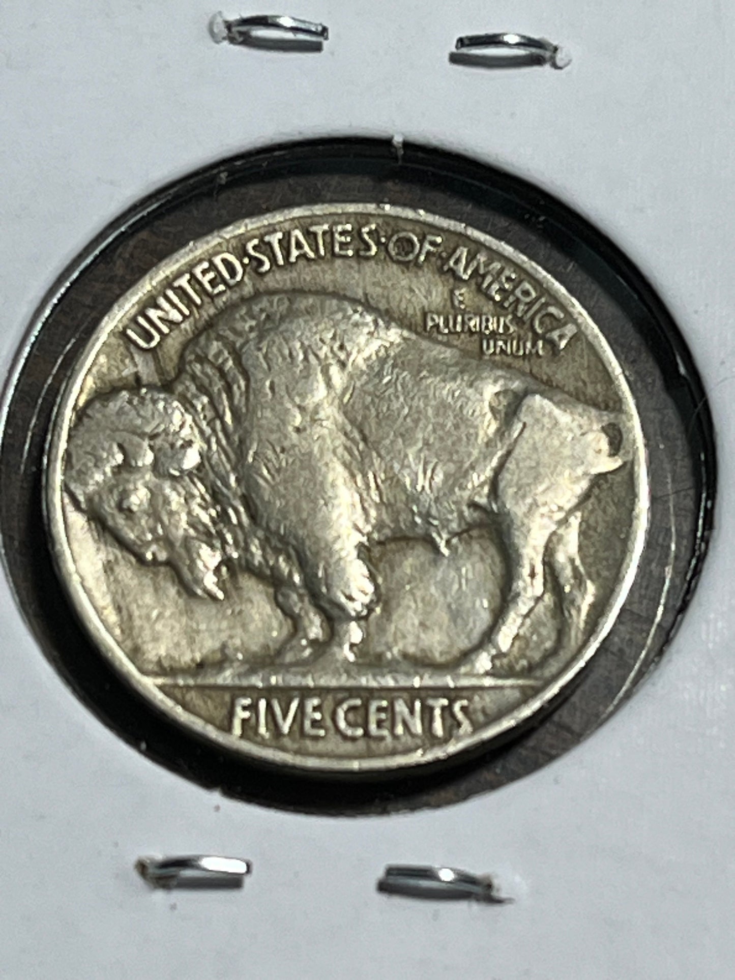 1930 MS Buffalo Nickel